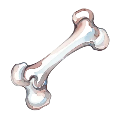 Imagen PNG para descargar